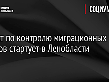 Проект по контролю миграционных потоков стартует в Ленобласти