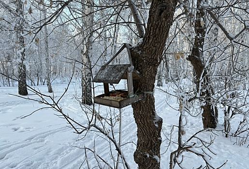 В Омской области ожидаются температурные качели