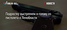 Подростку выстрелили в голову из пистолета в Ленобласти