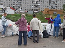 Сколько вторсырья собрал «Велес» на этой неделе, рассказали зоозащитники