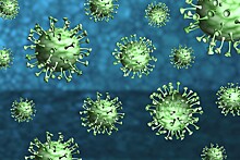 Эксперт рассказал, стоит ли ждать подъема заболеваемости коронавирусом в Петербурге