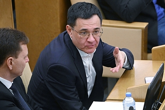 Депутат Селезнев предложил освобождать женщин-заключенных за рождение детей