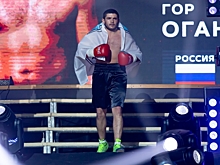 Волгоградский боксер провел первый бой на профессиональном уровне