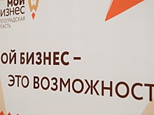 424 волгоградских предпринимателя получили поддержку в развитии своего дела
