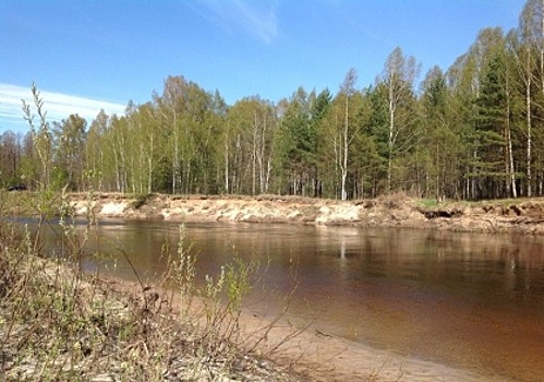 В Нижегородской области на реке утонул шестилетний мальчик