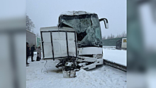 Три пассажира пострадали в результате ДТП с участием рейсовых автобусов на трассе М4 «Дон» в Подмосковье