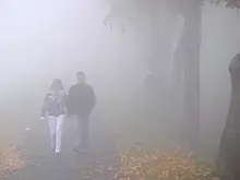 Желтый уровень погодной опасности объявлен в Москве