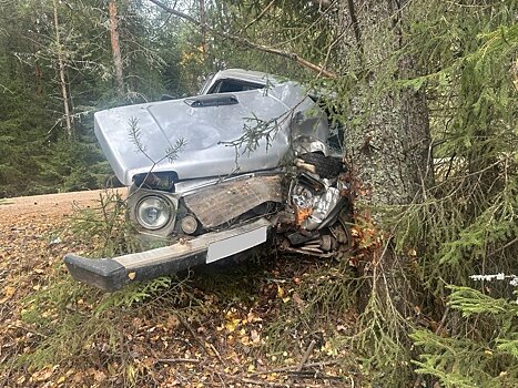 В Кирово-Чепецком районе пьяная бесправница учинила аварию