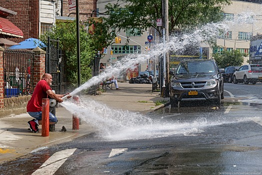 Зачем американцы моются на улице