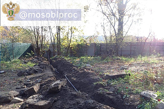 В «Лосином Острове» уничтожили плодородный слой почвы