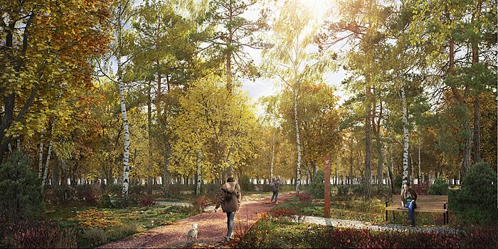 Щукинский парк и Всехсвятскую рощу свяжет единый пешеходный маршрут
