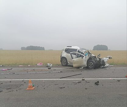 В Рыбинском районе в ДТП погибли два человека