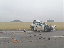 В Рыбинском районе в ДТП погибли два человека