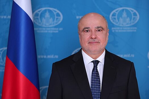Посол РФ в ЦАР: Россия помогла спасти Центральноафриканскую Республику от распада