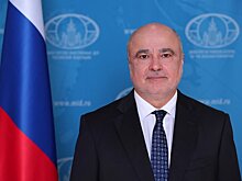 Посол РФ в ЦАР: Россия помогла спасти Центральноафриканскую Республику от распада
