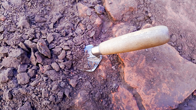 Захоронения и церковь Средних веков раскопали казахстанские археологи в Узбекистане