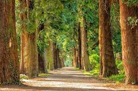 192 дворов и общественных территорий Вологодчины приведены в порядок благодаря нацпроекту «Жилье и городская среда»