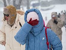 Москвичам рассказали о погоде в выходные