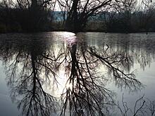 В библиотеке Дмитровского района отметят День водно-болотных угодий