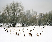 Лекция от GetLens и Галереи Классической Фотографии