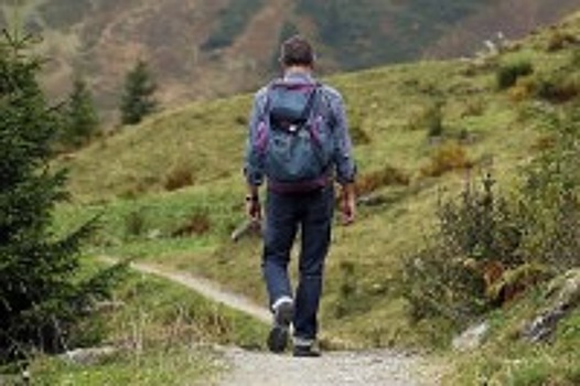 В России может появиться госпрограмма «Молодёжный туризм»