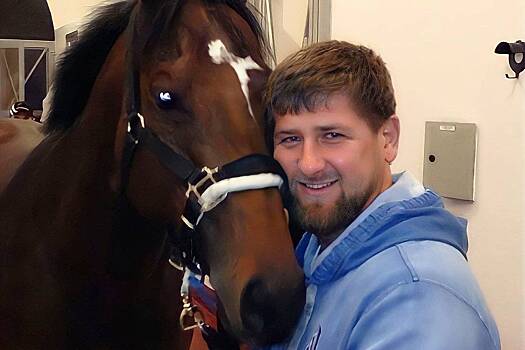 Кадыров раскрыл цену выкупа своего коня из «заточения» в Чехии