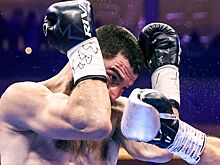 Артур Бетербиев, последний бой, кто следующий соперник, когда бой, трилогия с Дмитрием Биволом, карьера, Дэвид Бенавидес