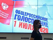 Оппозиция признала чистоту голосования по поправкам