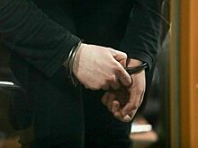 Суд в Германии арестовал обвиняемого в подрыве «Северных потоков»