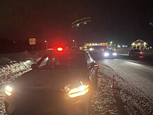 В Малопургинском районе Удмуртии мужчина перебегал трассу и угодил под колёса авто