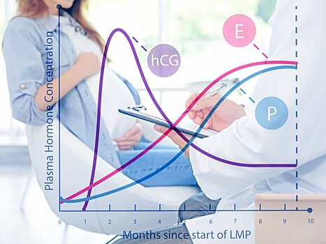 Таблица ХГЧ по неделям беременности: что необходимо знать об этом показателе