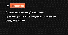 Брата экс-главы Дагестана приговорили к 12 годам колонии по делу о взятке