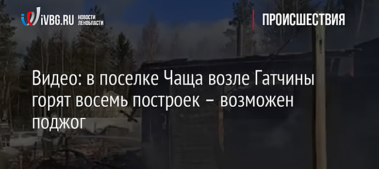 Видео: в поселке Чаща возле Гатчины горят восемь построек – возможен поджог