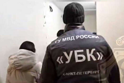 В Петербурге полицейские пресекли изготовление порно с детьми 1-2 лет