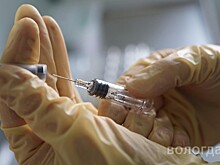Более чем на 70 % выполнен план вакцинации против гриппа в Вологде