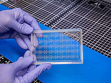 "Ъ": в РФ из-за дефицита кристаллов прекращен эксперимент по сборке чипов Baikal M