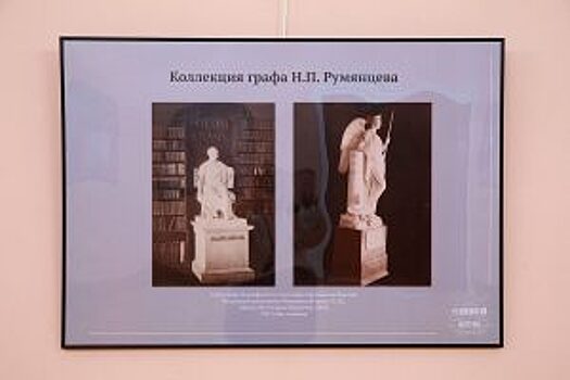 Историю Румянцевского музея представят в «Ленинке»