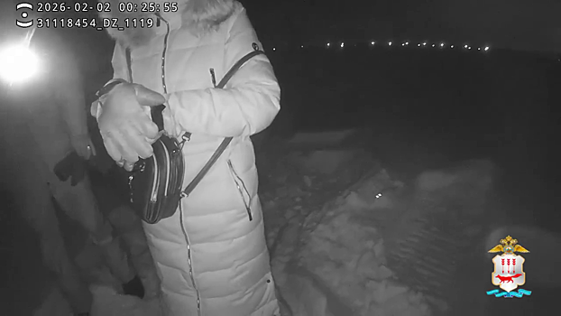 Полицейские Мордовии спасли жительницу Саранска, заблудившуюся в снегопад в лесополосе
