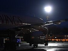Более 30 авиарейсов задержаны и отменены в Москве из-за снегопада