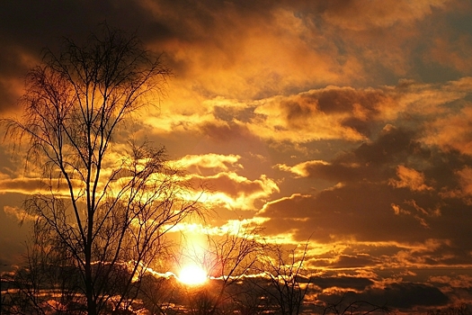 На Солнце ожидаются мощные вспышки 26 и 27 января