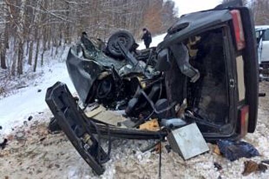 В Тамбовской области погиб 22-летний водитель
