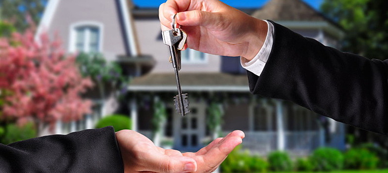 Аналитики сообщили о снижении спроса на земельные участки в России на 4%