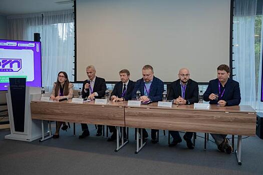 ИТ-компании ожидают снижения господдержки в 2025 году