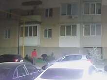 В Саратове вандалы оборвали клумбу с тюльпанами и попали на камеру