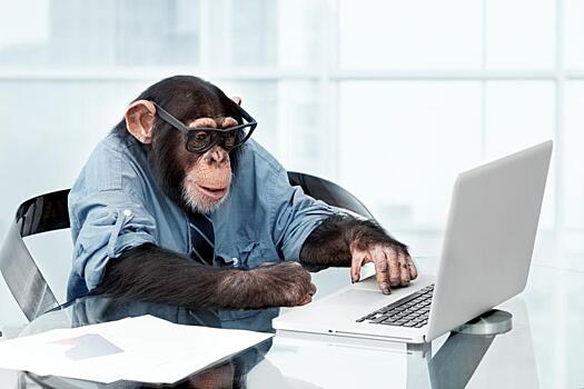 Сотрудников Илона Маска обвинили в истязаниях обезьян, которым вживляли в мозг чипы