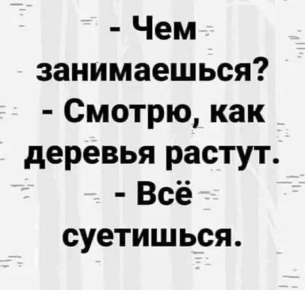 Кажется, всем сейчас все лень, даже смотреть в окно.