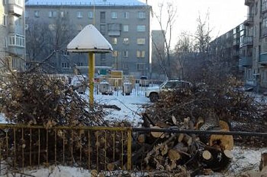 В центре Кургана по ошибке спилили деревья