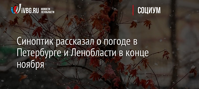 Синоптик рассказал о погоде в Петербурге и Ленобласти в конце ноября