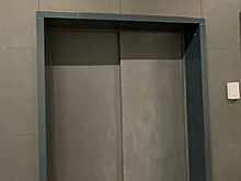 Стали известны детали инцидента с лифтом в Новой Москве, где пострадала мать с ребенком