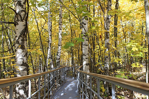 В Жигулевском заповеднике экотропу на гору Стрельная продлили на полкилометра